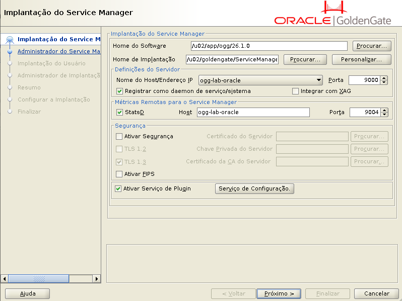 OGGCA - tela de implantação do Service Manager