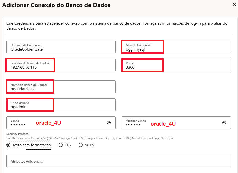 Tela real da console web - Adicionar Conexão do Banco de Dados (MySQL)